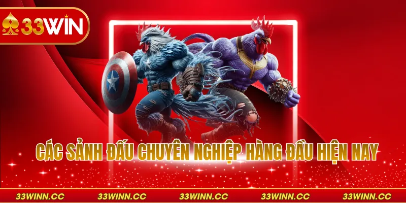 Các sảnh đấu chuyên nghiệp hàng đầu hiện nay