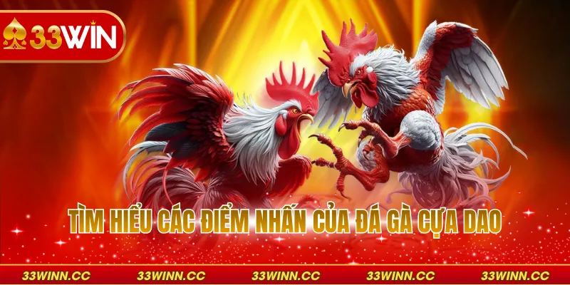 Tìm hiểu các điểm nhấn của đá gà cựa dao